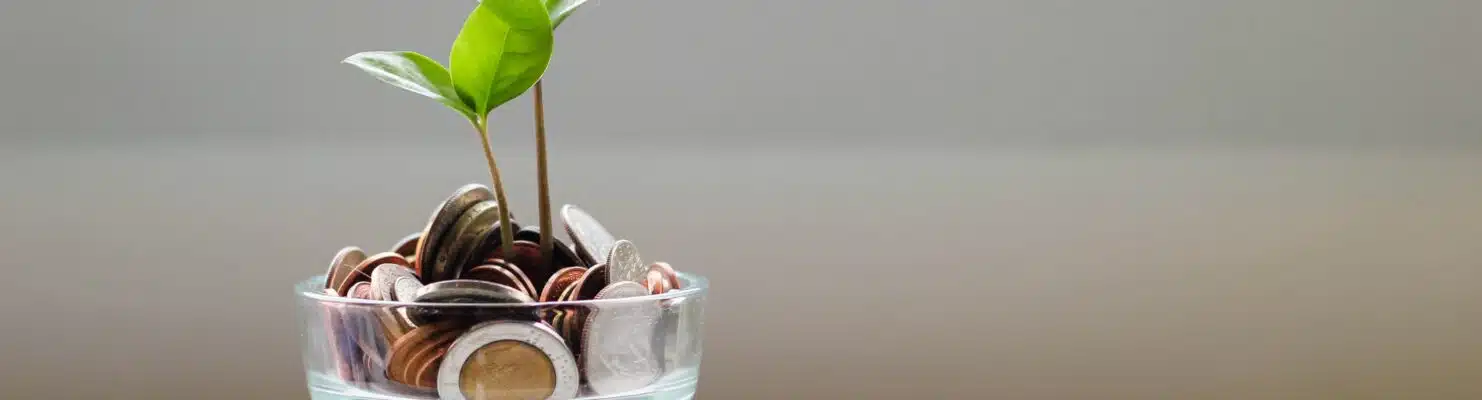 Growing your Business with a Business loan